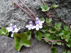 P3010029.JPG