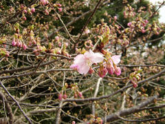 P3010031.JPG