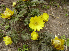 P3010025.JPG