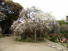 P3010021.JPG