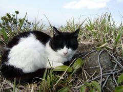 P3250095-1.jpg