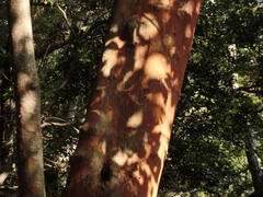 P3250096-1.jpg