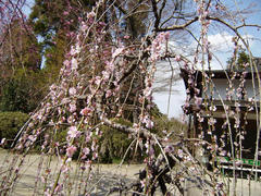 P3260104-1.jpg
