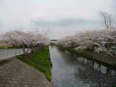 P4040113-1.jpg