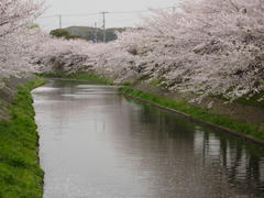 P4040114-1.jpg