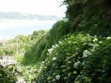 P6010140-1.jpg