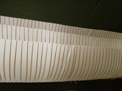 P6070152-1.jpg
