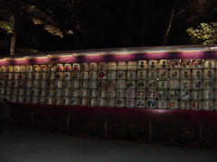 PA300048.JPG