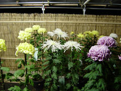 PA300057.JPG