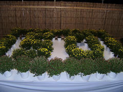 PA300093.JPG