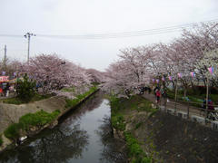 P4050095-1.jpg