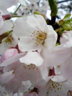 090405_1044.jpg