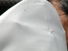 ac99d883.jpg