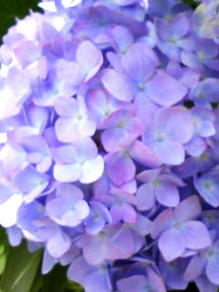 090527_1407.jpg