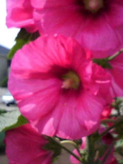 090527_1411.jpg