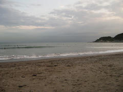 P8110103-2.jpg