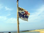 コトー