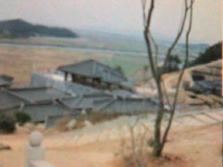 najyu1