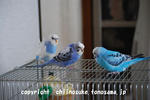 DSC_1883.jpg