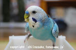 DSC_1827.jpg