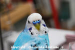 DSC_1753.jpg
