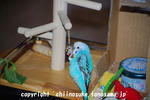 DSC_1694.jpg