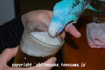 DSC_1965.jpg