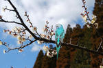 DSC_2095add.jpg