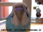 DSCN2230.jpg