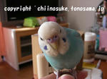 DSCN2246.jpg