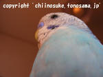 DSCN2602.jpg