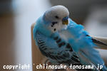 DSC_3192.jpg
