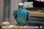 DSC_3514.jpg