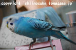 DSC_4312.jpg