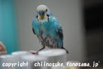 DSC_3267.jpg
