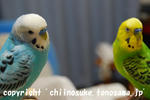 DSC_5122.jpg