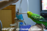 DSC_5168.jpg