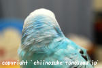 DSC_5132.jpg