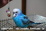 DSC_5066.jpg