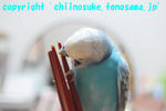DSC_5311.jpg