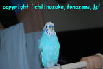 DSC_4764.jpg