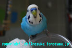 DSC_5493.jpg
