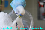 DSC_5499.jpg