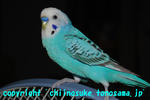 DSC_5602.jpg