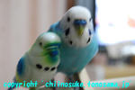 DSC_5609.jpg