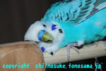 DSC_5615.jpg