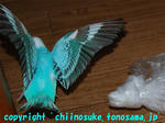 DSC_5991.jpg