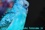 DSC_5617.jpg