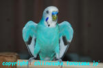 DSC_6027.jpg