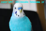 DSC_6044.jpg